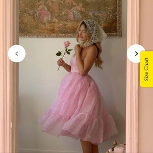 The Pink Porcelain French Corset Puff Dress